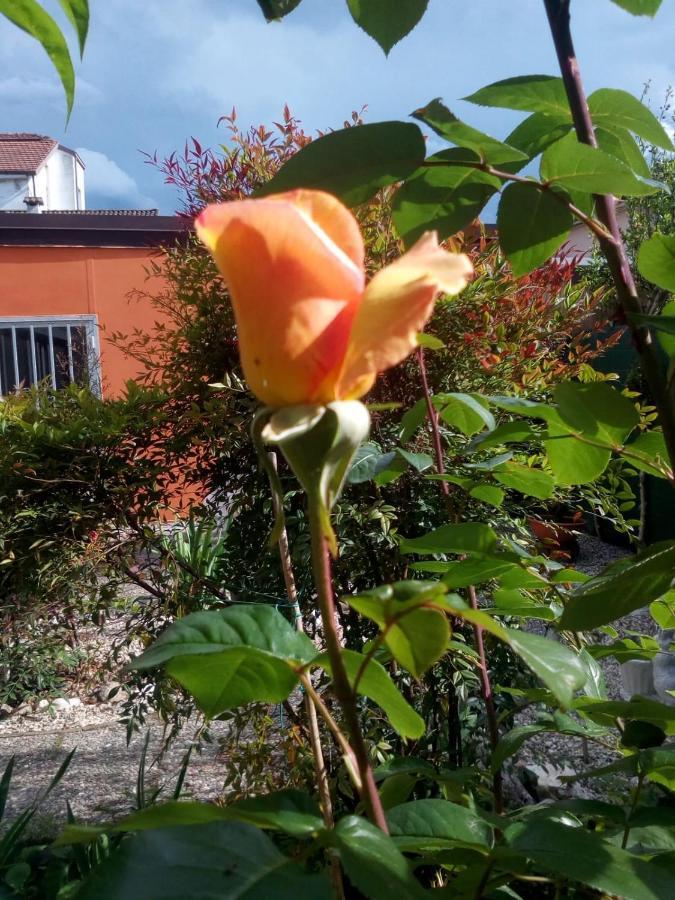מורטרה B&B Antica Corte Lombarda מראה חיצוני תמונה